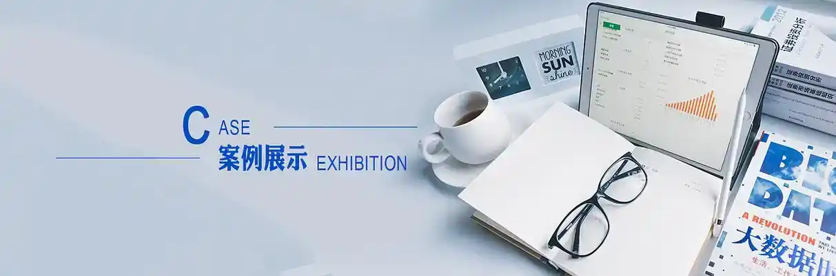 海兴县软件开发